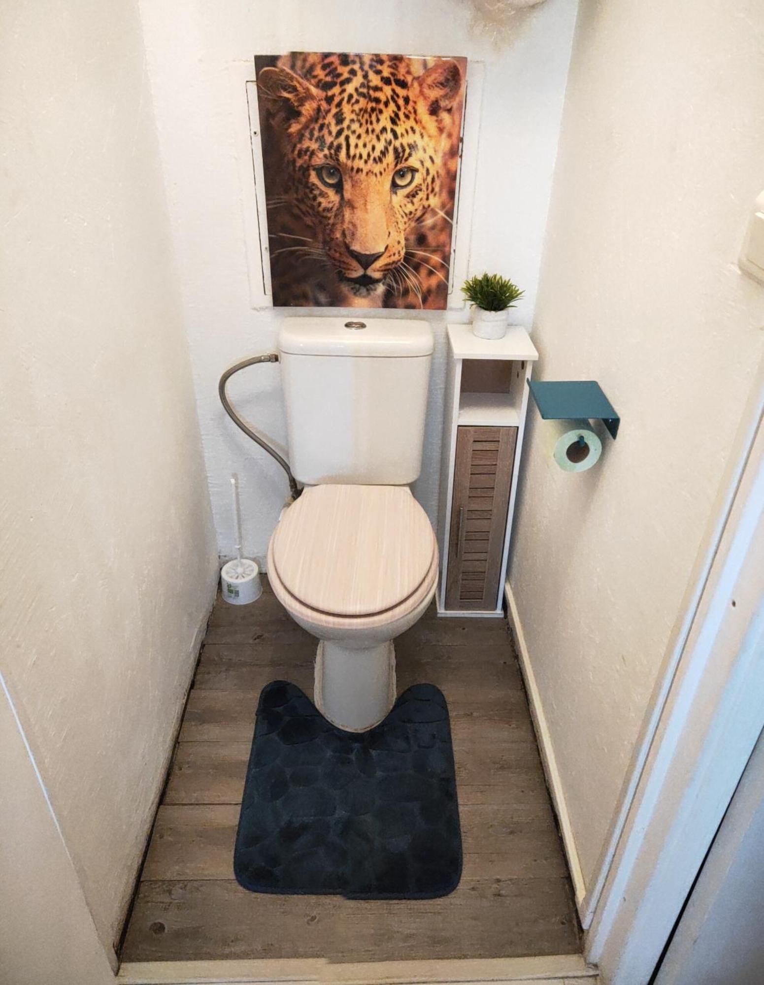 Appartement La perle marine à Sète Extérieur photo